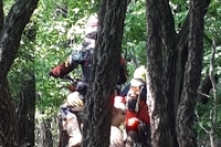 자연을 훼손하고 쾌적하고 안전한 산행을 위협하고 있는 산악 오토바이를 단속하고 대책을 마련해 주십시오!
